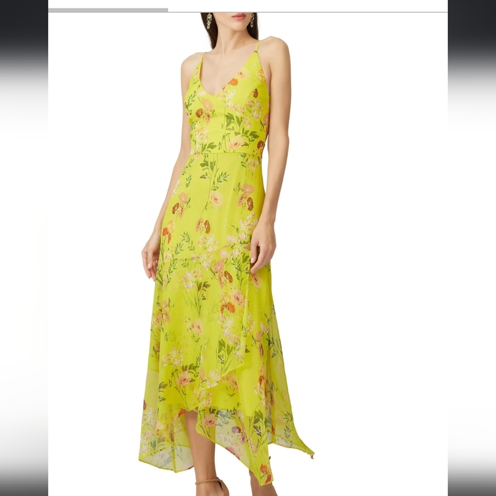 Harlyn Floral Printed V Neck Dress